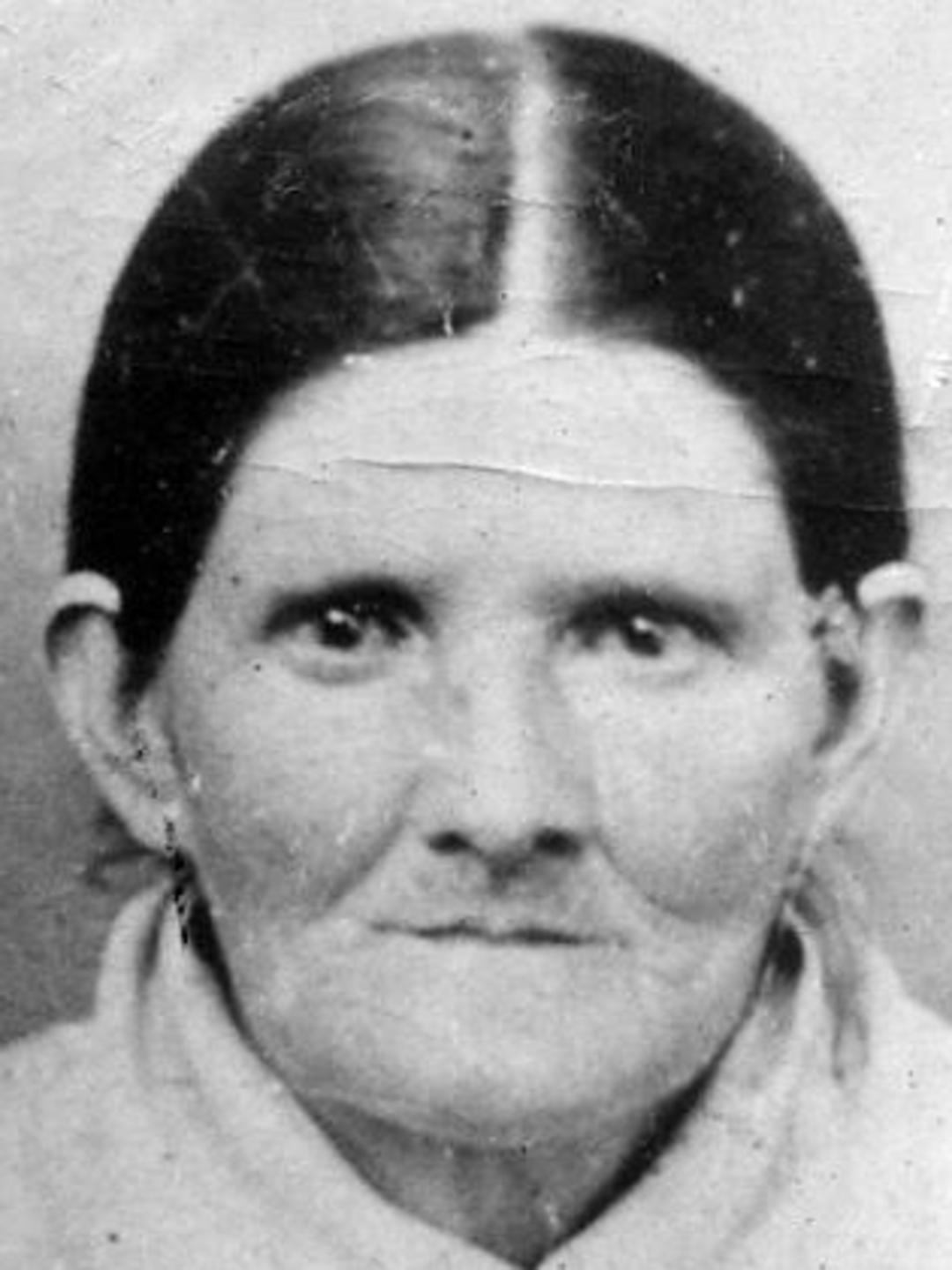 Mary Elizabeth Parsons (1829 - 1917) Profile